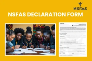 declaration form for nsfas